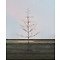Sirius LED albero Alex Tree 480 LED bianco caldo all'aperto 210 cm