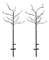 Sirius LED Baum Alex Tree 2er Set 2x30 LED 80cm batteriebetrieben - Thumbnail 3