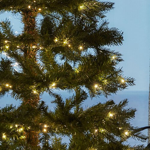 Sirius LED drevo Eric Tree 680 LED toplo bela 2,4 m zelena