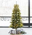 Albero Sirius LED Albero Elton 234 LED bianco caldo 1,8 m per esterni