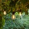 Sirius light chain Tobias extension 10 LED glass clear outside 4,5 m black