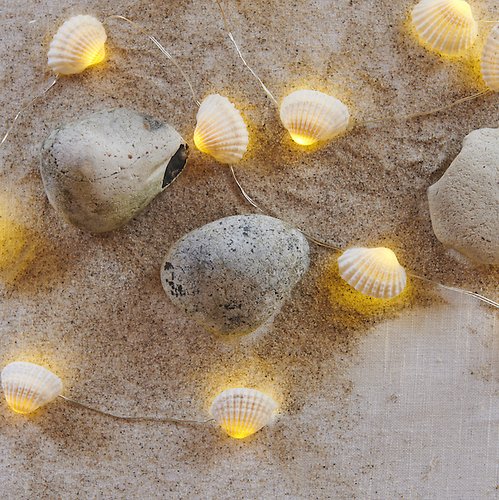Sirius LED lumières féeriques Shelly 20 LED 1,9m gros coquillages blanc