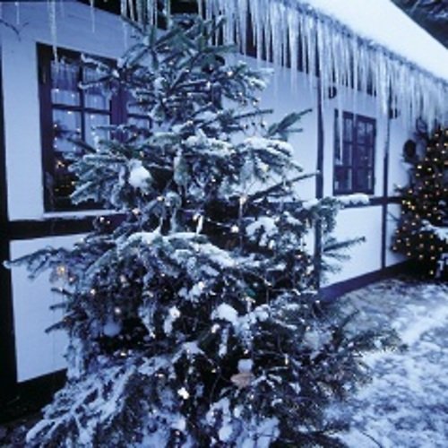 Sirius Lichterdekoration Easy-Line Netz 96 LED warmweiß 1,1 x 1m außen schwarz
