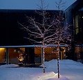 Sirius Lichterdekoration Easy-Line Netz 208 LED warmweiß 2,1 x 1,5m außen schwarz - Thumbnail 5