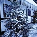 Sirius Lichterdekoration Easy-Line Netz 208 LED warmweiß 2,1 x 1,5m außen schwarz - Thumbnail 1