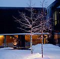 Sirius Lichterdekoration Easy-Line Erweiterung 50 LED kaltweiß 7,5 m außen - Thumbnail 5