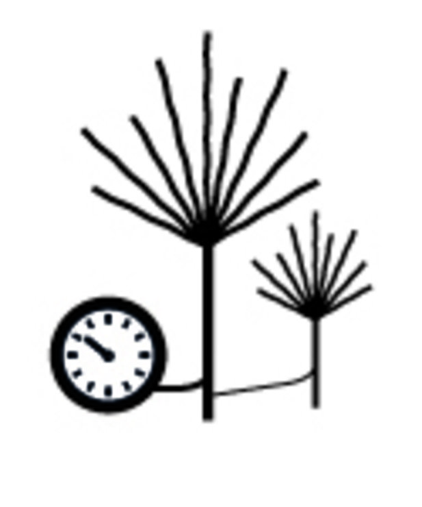 Arbres lumineux Sirius Time-Line Set 2x36 LED blanc chaud fonctionnant sur batterie à l'extérieur - Thumbnail 3