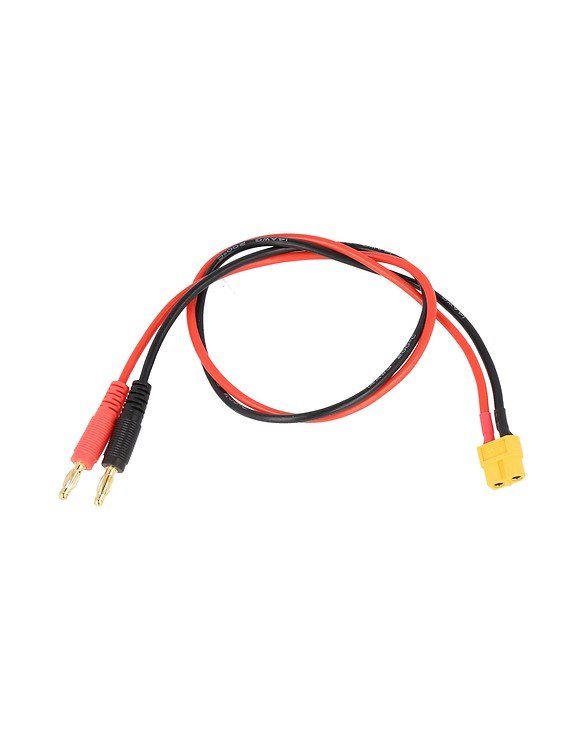 Câble de connexion ISDT à l'alimentation électrique Prise XT60 - Pic 1