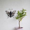Star Trading Butterfly LED Solar-Wanddekoration Schmetterling 34 cm Schwarz - Thumbnail 1