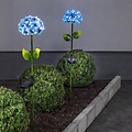 Star Trading Hortensia LED Solar-Leuchtblume 77 cm Blau - Thumbnail 1