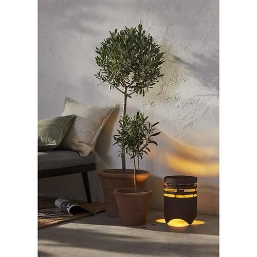 Star Trading LED Solarleuchte Marron 18,5x25 cm außen braun