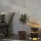 Star Trading LED-Solarleuchte Marron 25 cm Metall braun