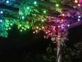 Twinkly Party Lights Festoon Lights Starter Set 20 LED Multicolor 10m negro - Thumbnail 2