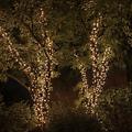 Chaîne lumineuse Twinkly Strings 400 LED Gold Edition Outdoor 32m noir - Thumbnail 3