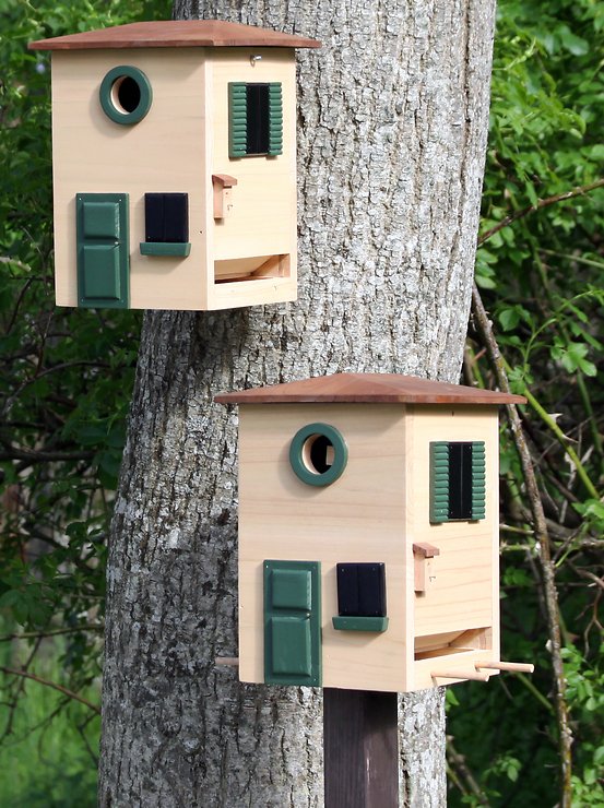 Vogelfutterhaus Und Nistkasten Set | Vogelzubehör  Produktbild-Vorschau 10