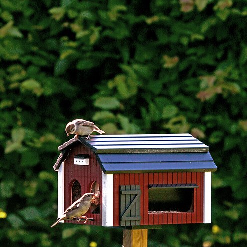 Wildlife Garden Futterscheune Braun - Vogelfutterhaus Aus FSC-zertifiziertem Holz